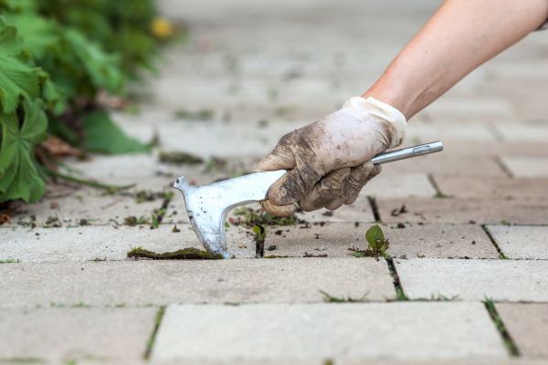 Patio Paver Maintenance - Patio Paver Maintenance Niceville, Florida